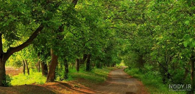 جاذبه های گردشگری شمال ایران جاذبه های گردشگری شمال ایران