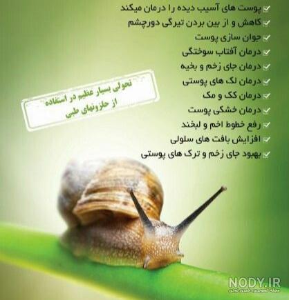 حلزون تراپی واژن