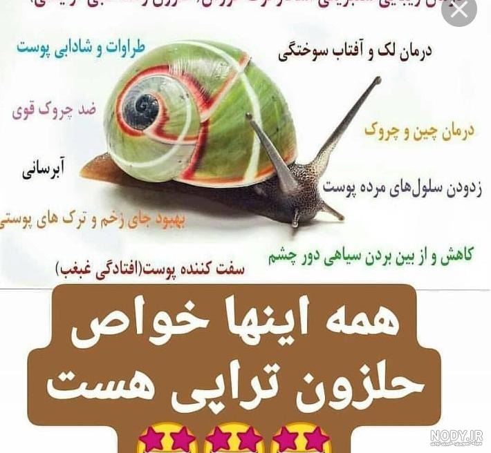 حلزون تراپی واژن