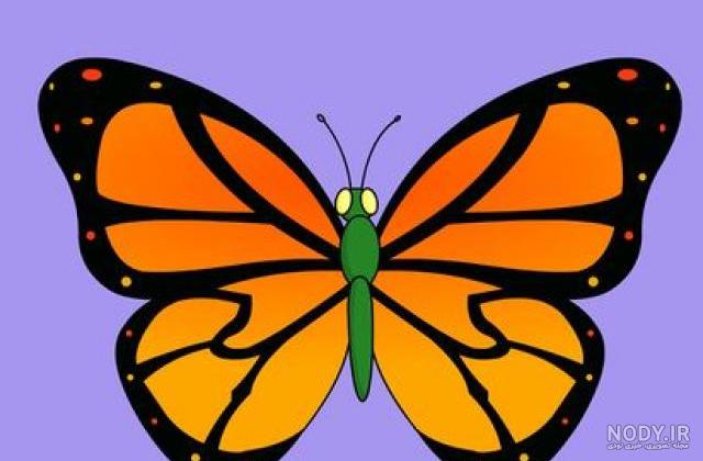 رنگ پروانه نقاشی رنگ پروانه نقاشی