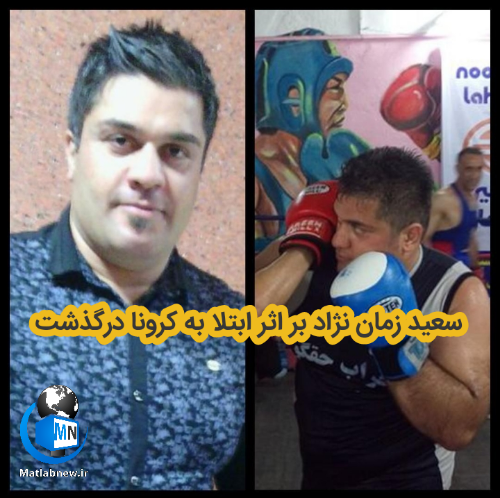 سعید زمانی نژاد بوکس