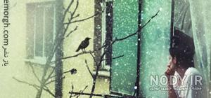 شعر مرگ حمید مصدق