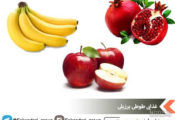 ظرف غذای طوطی برزیلی ظرف غذای طوطی برزیلی