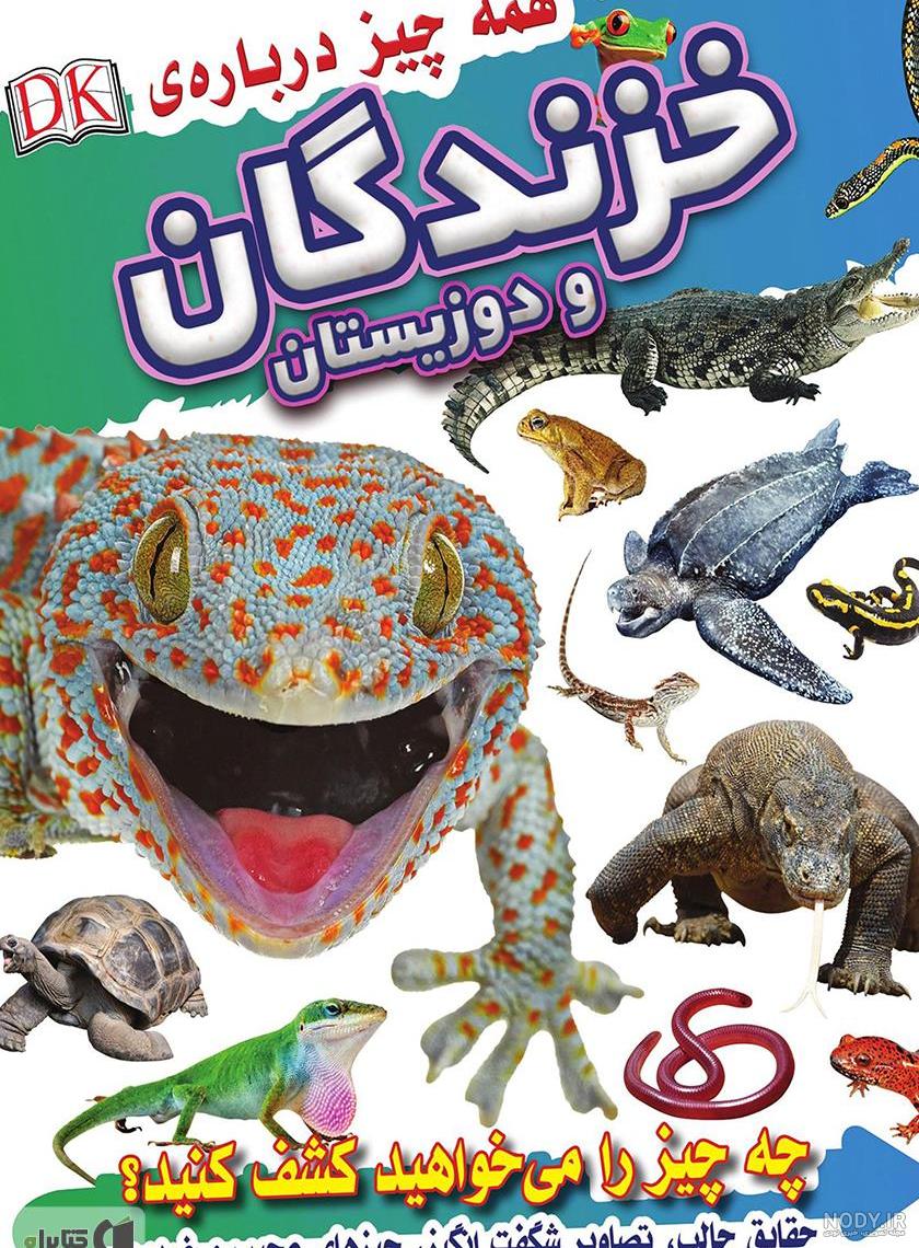 عکس انواع دوزیستان عکس انواع دوزیستان