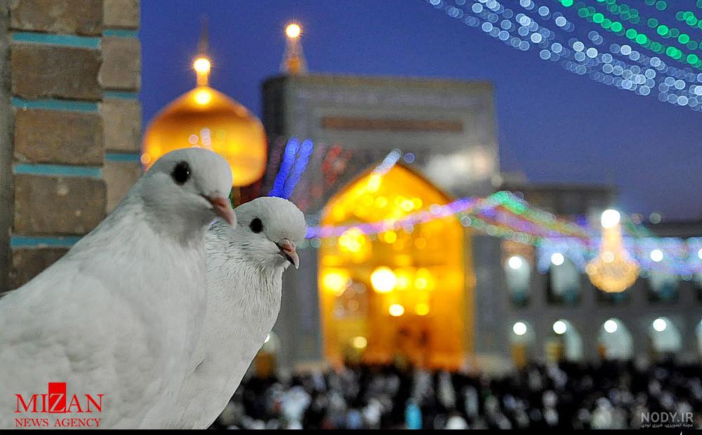 عکس حرم امام رضا در شب میلاد