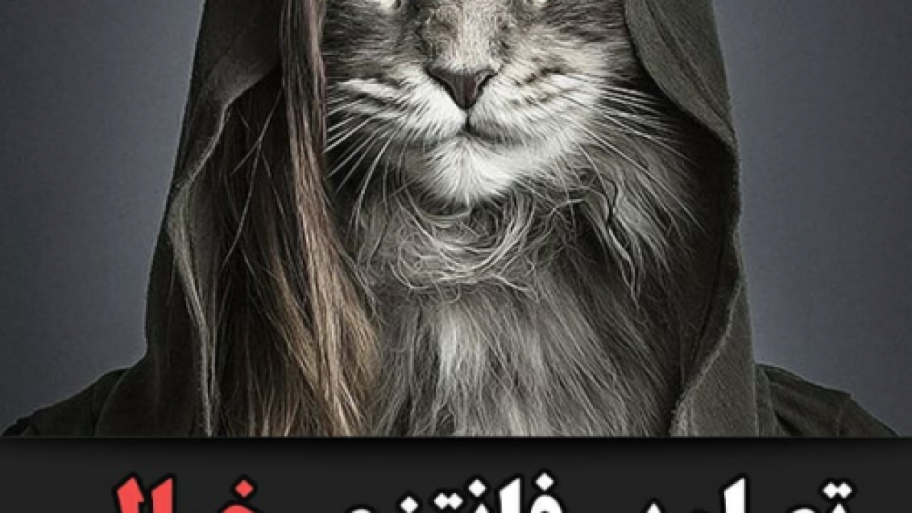 عکس حیوانات خانگی