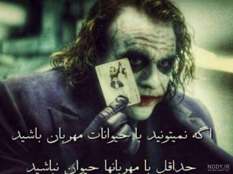عکس حیوانات زیبا و بامزه