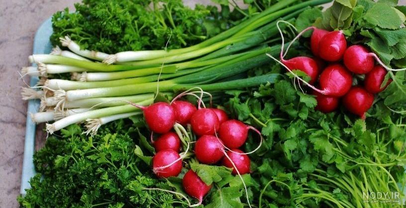 عکس خورشت قیمه با برنج عکس خورشت قیمه با برنج