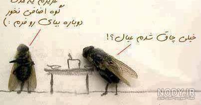 عکس شعر طنز سربازی عکس شعر طنز سربازی