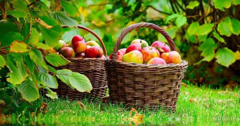 عکس طبیعت فوق العاده زیبا
