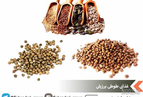 عکس غذای طوطی برزیلی عکس غذای طوطی برزیلی
