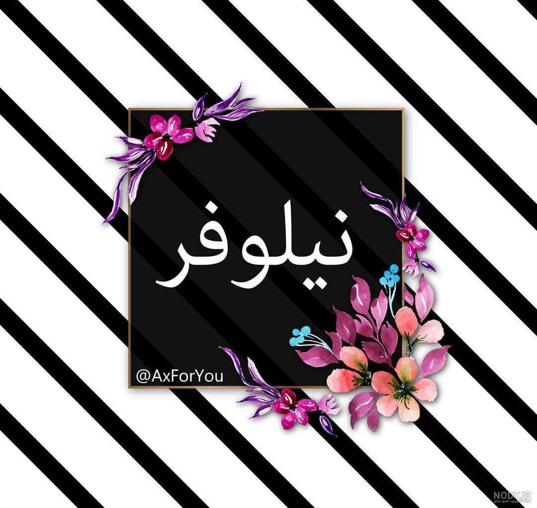عکس نوشته نیلوفر یعنی عکس نوشته نیلوفر یعنی
