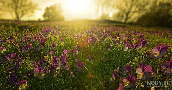 عکس پروفایل طبیعت پسرانه
