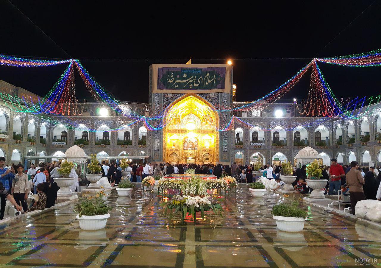 عکس کبوتر حرم امام حسین