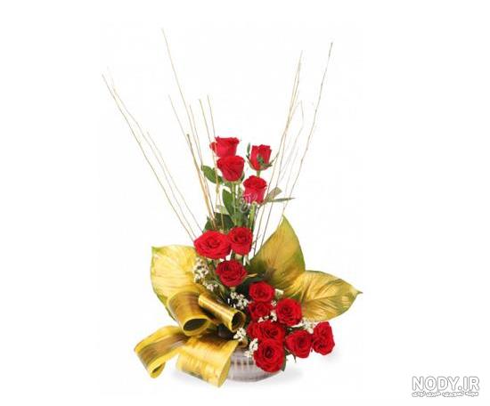 عکس گل رز زرد عکس گل رز زرد