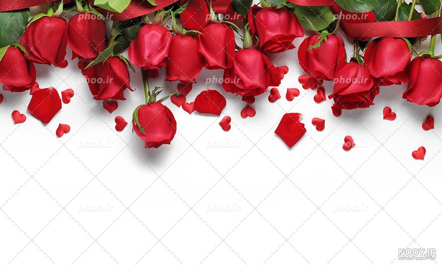 عکس گل کوچک برای تاتو عکس گل کوچک برای تاتو
