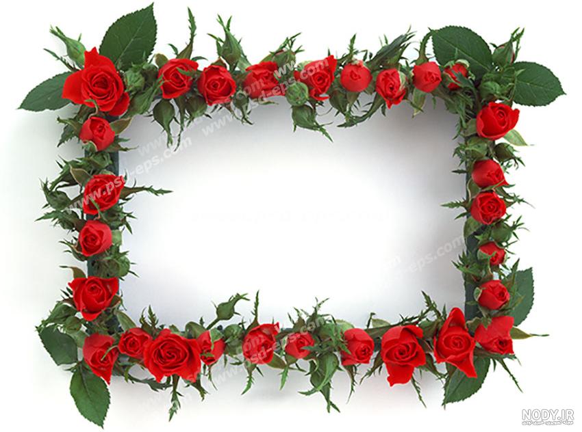 عکس گل کوچک برای پاورپوینت عکس گل کوچک برای پاورپوینت
