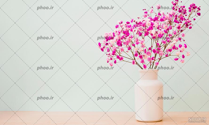 عکس گلهای بسیار زیبای جهان عکس گلهای بسیار زیبای جهان