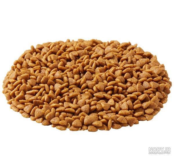 غذای حیوانات پیش دبستانی