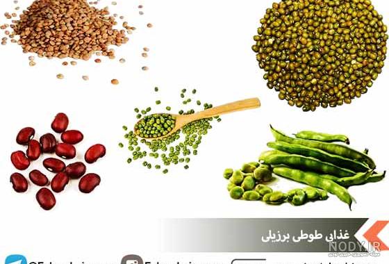 قیمت طوطی برزیلی دیجی کالا قیمت طوطی برزیلی دیجی کالا