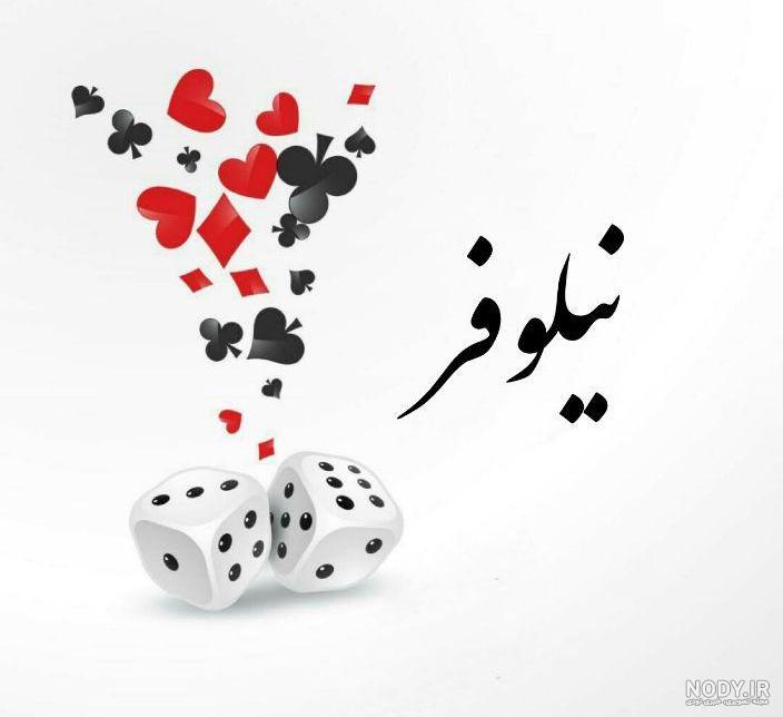 متن درباره نیلوفر متن درباره نیلوفر