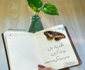 نقاشی پروانه قشنگ نقاشی پروانه قشنگ