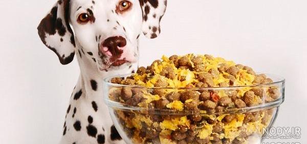 کاربرگ غذای حیوانات پیش دبستانی