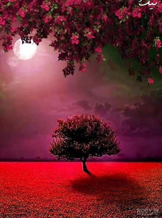 دانلود عکس طبیعت برای پروفایل دانلود عکس طبیعت برای پروفایل