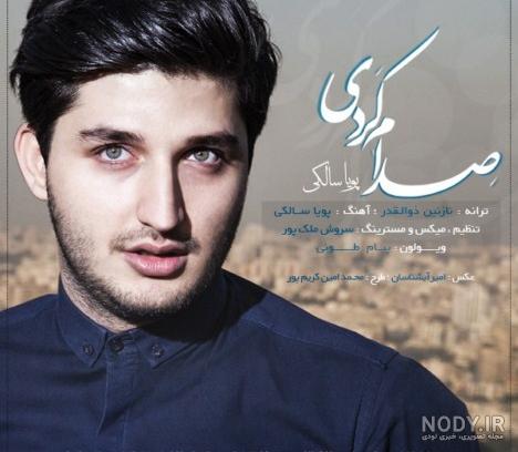 اهنگ عکس پویا سالکی