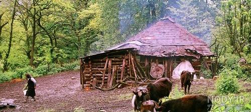 تصاویر زیبای از طبیعت