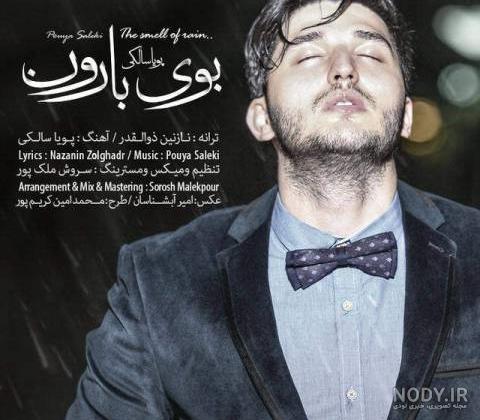 دانلود اهنگ عکس پویا سالکی