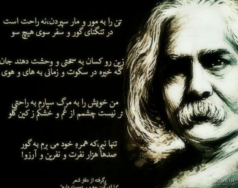 دانلود شعرهای فریدون مشیری