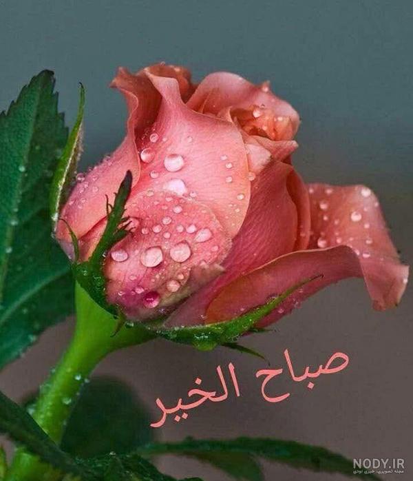 دعای صباح الخیر عربی دعای صباح الخیر عربی