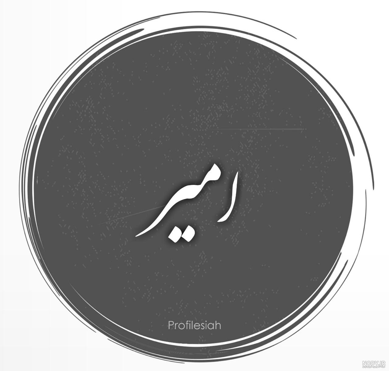 شعر برای اسم امیر