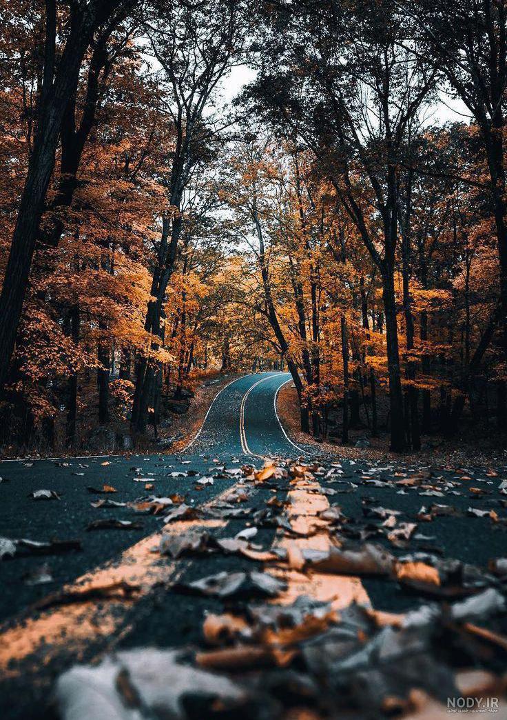 عکس تصویر زمینه گوشی اندروید