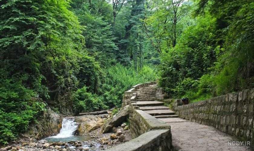 عکس جنگل کبودوال
