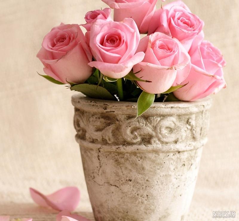 عکس دسته گل رز قرمز عکس دسته گل رز قرمز