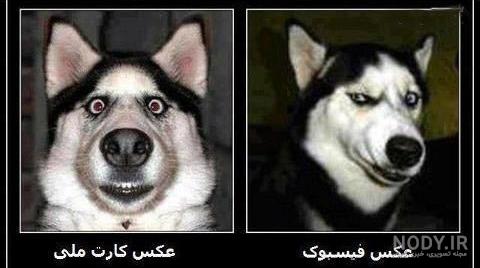 عکس لاتی دخترونه بدون متن عکس لاتی دخترونه بدون متن