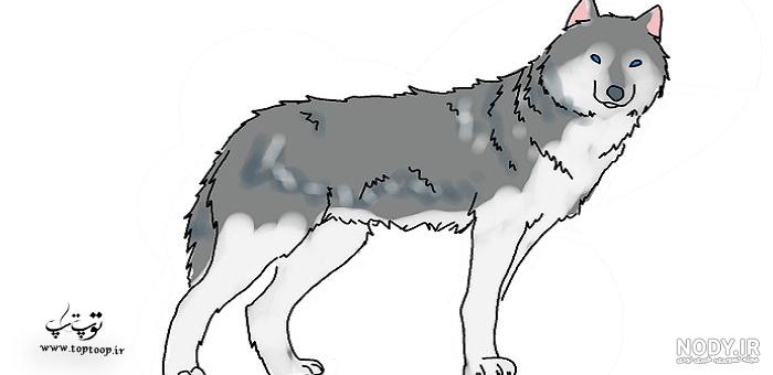 عکس نقاشی گرگ و دختر عکس نقاشی گرگ و دختر