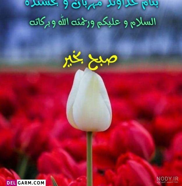 عکس نوشته صبح بخیر زیبا عکس نوشته صبح بخیر زیبا