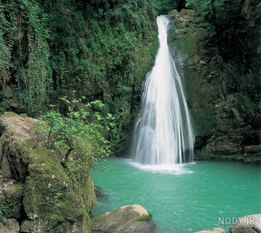 عکسهای جنگل کبودوال