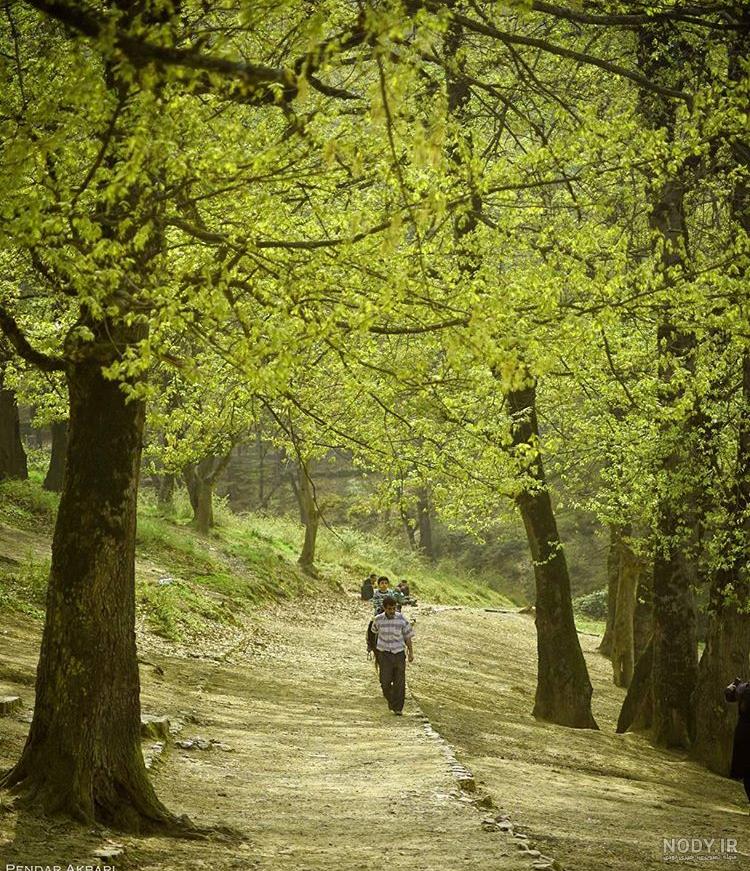 عکسهای مازندران
