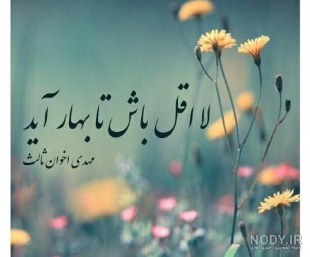 غمگین ترین شعر اخوان ثالث