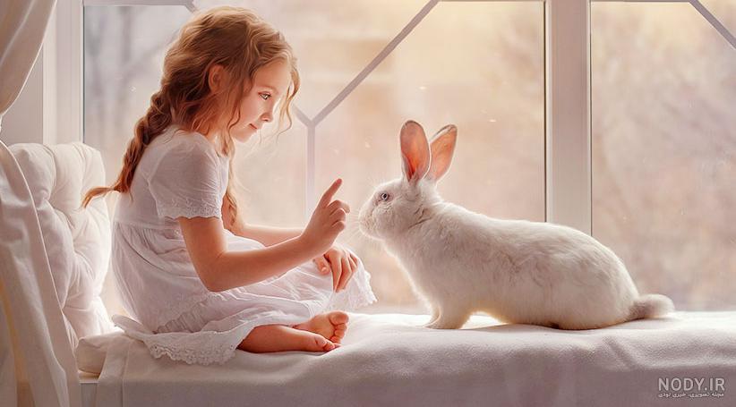 فیلم خرگوش ها فیلم خرگوش ها