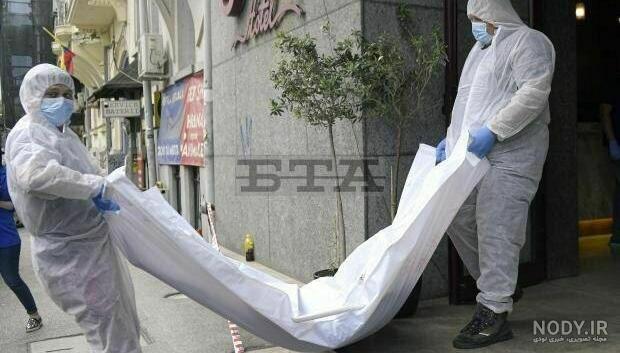 قاضی منصوری ویکی پدیا قاضی منصوری ویکی پدیا
