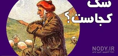 مشکل نقاشی شتر کجاست مشکل نقاشی شتر کجاست