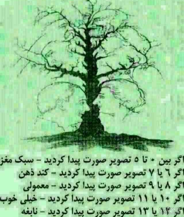 معمای عکس شتر را پیدا کنید معمای عکس شتر را پیدا کنید