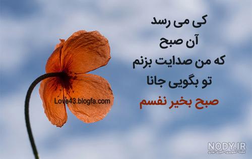 عکس صبح بخیر خنده دار عکس صبح بخیر خنده دار