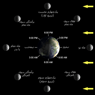 بازی wingspan