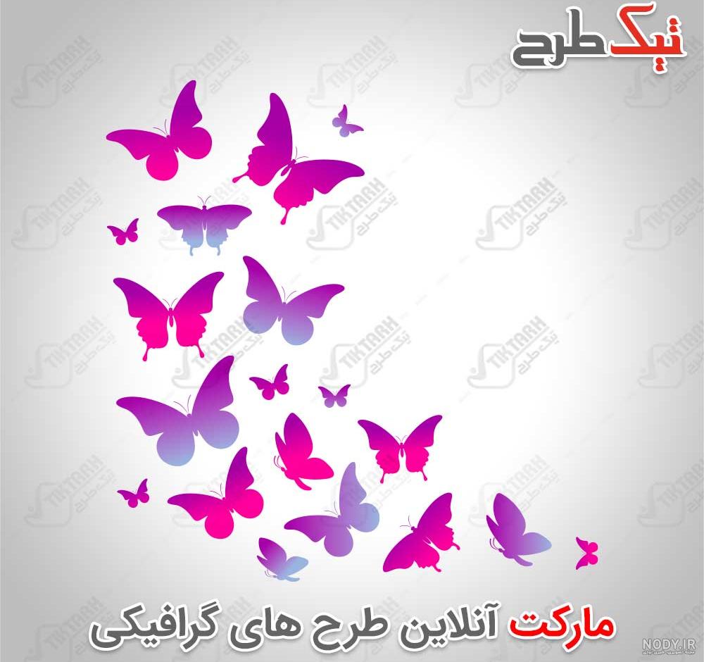 تکسچر سقف کشسان